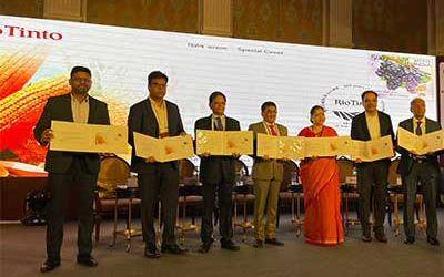 Micronutrients Gain Importance in India