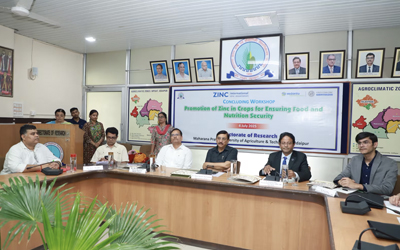 Zinc Essential for Crops and Human Health – Dr. Karnataka