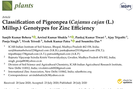 Report-Plants_Genotypes for Zinc