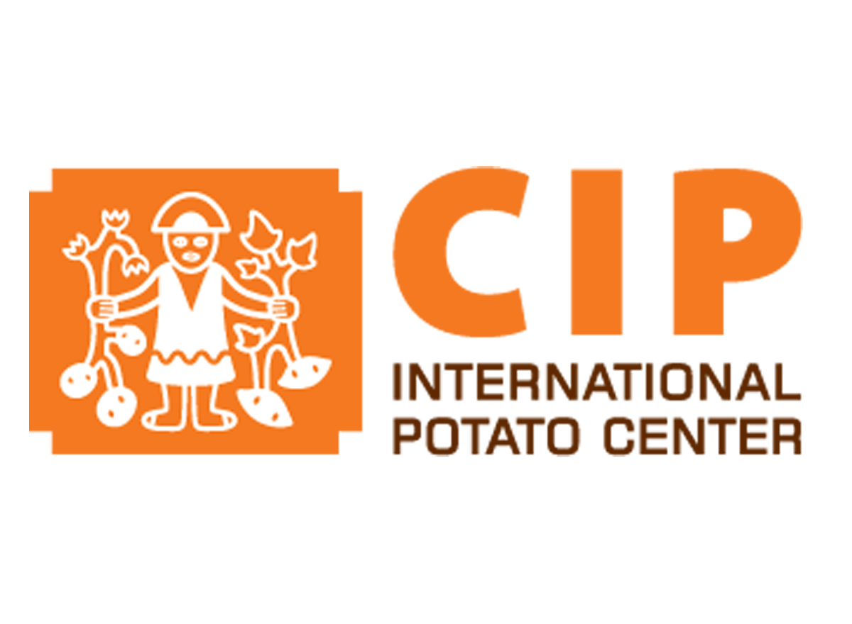 Logo Cip Logo Cip