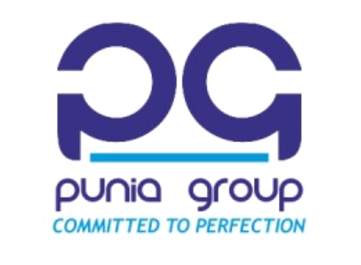 Logo Puniagroup Logo Punia group