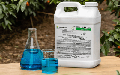 Zinc Copper Deficiency And Yield